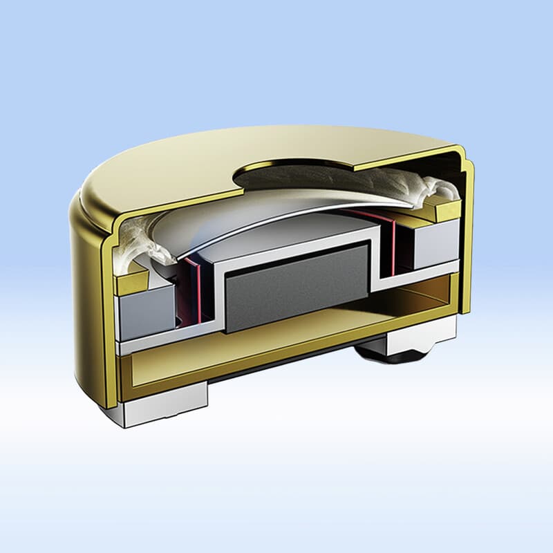 iBasso Jr. Cookie Ti (Matte)